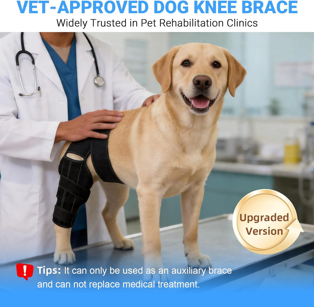 Dog Knee Brace for Back Leg, Adjustable Elbow Braces with Stabilizers, Canine Joint Support for Torn ACL, Luxating