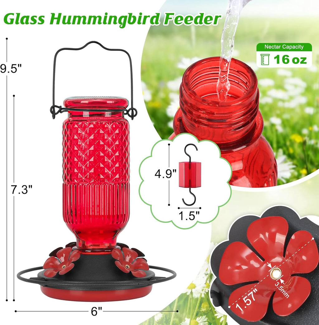 Glass Hummingbird Feeder for Outdoors Hanging, 16 OZ Humming Birds Feeders with 4 Bee Guard Feeding Ports & Built-in