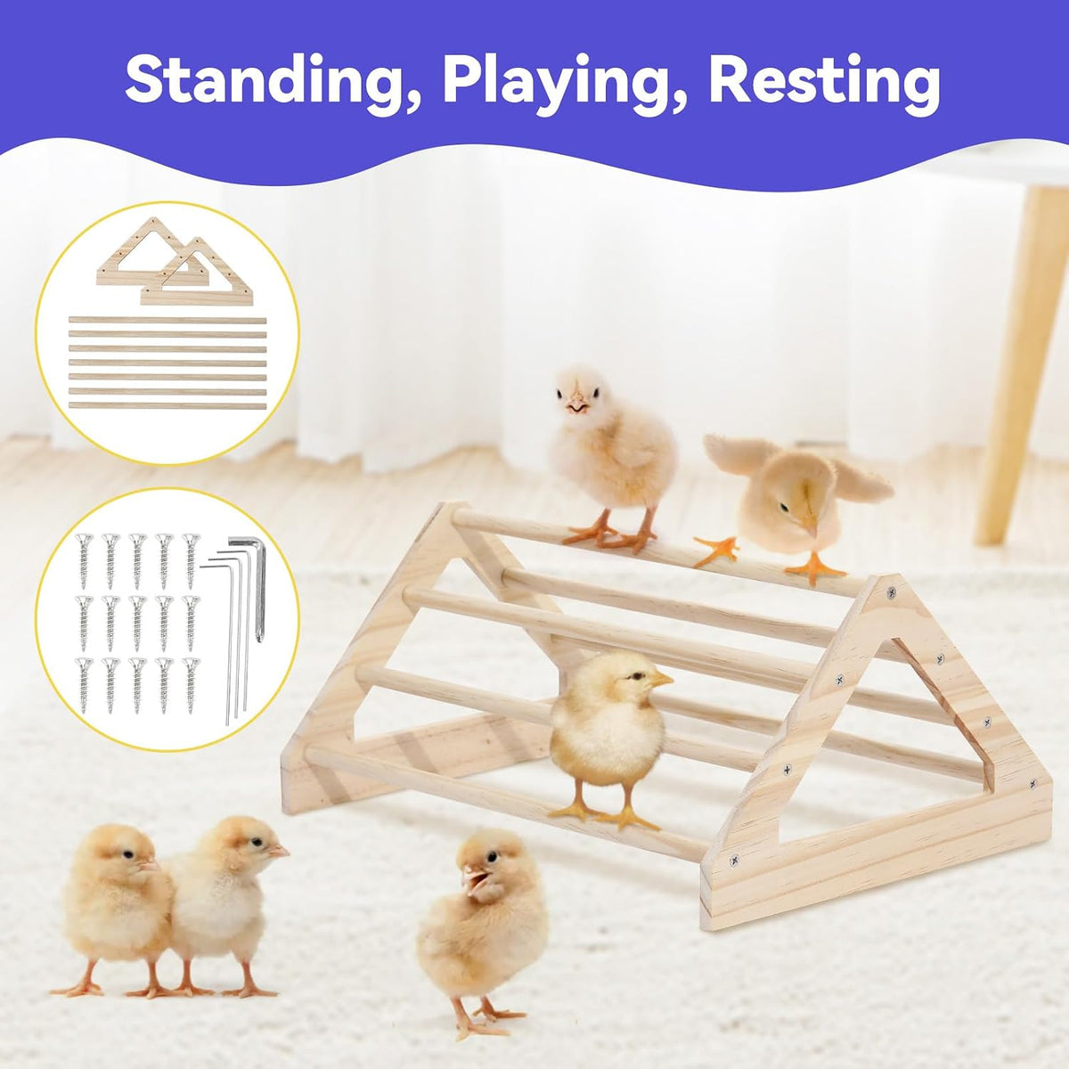 Chick Brooder Box for Chick Starter Kit, Red+Black