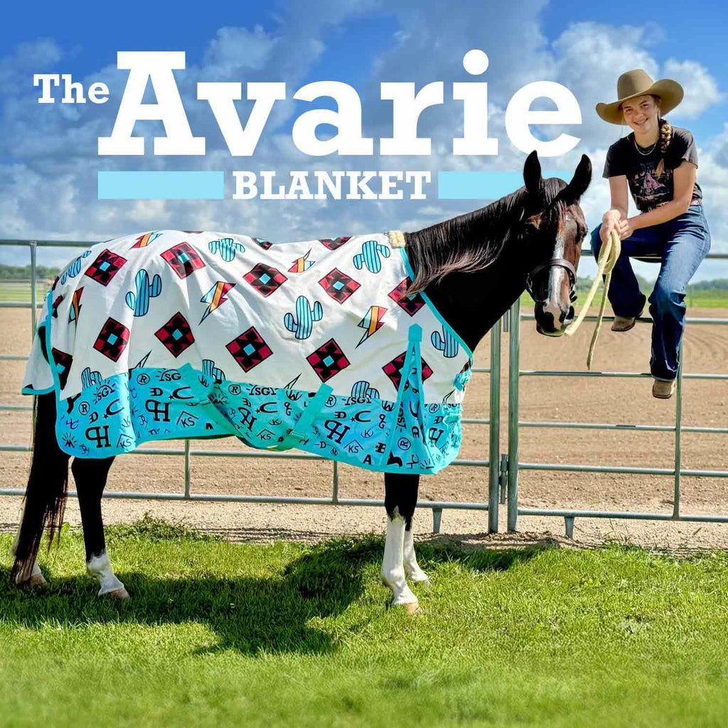 Economy Plus Turnout Blanket with Standard Neck for Horses, 72" - 1200 Denier Waterproof Shell, 240g Polyfill