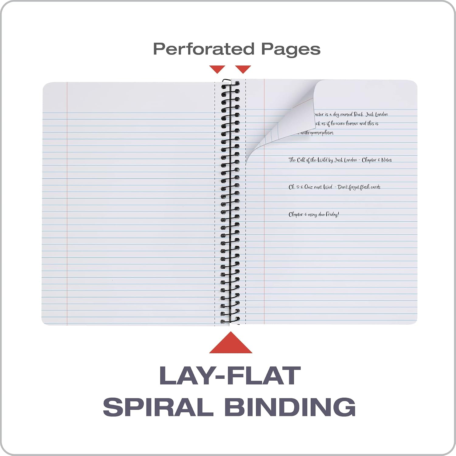 Composition Spiral Notebooks, 4 Pack, Cover Colors Vary, College Ruled Paper, 9-3/4 x 7-1/2 Inch School Journals