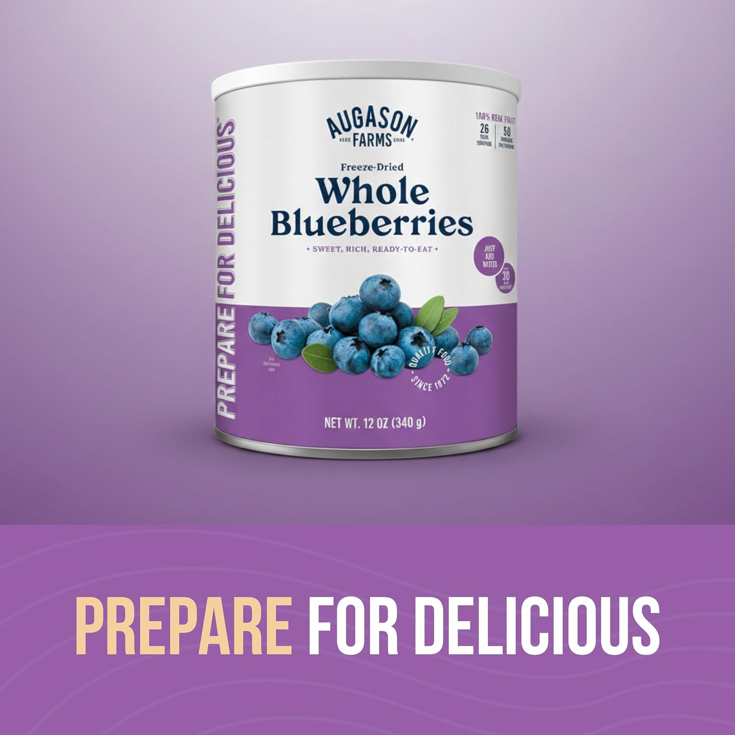 Freeze-Dried Whole Blueberries Can | Emergency Food Supply, 26 Servings, 30 Year Shelf Life, Great for Cooking
