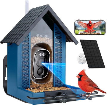 Wild Bird Feeders