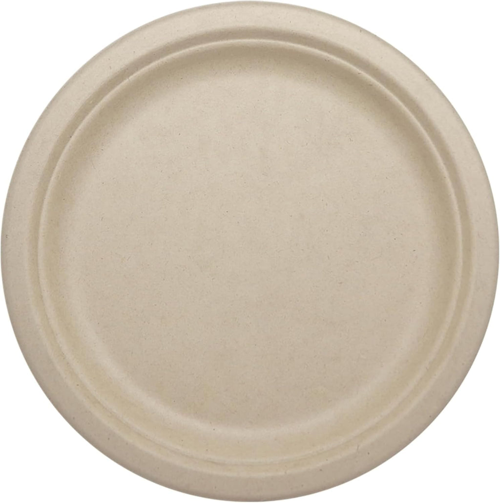 Compostable Round Paper Plates, 9 Inch (Pack of 20)
