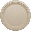 Compostable Round Paper Plates, 9 Inch (Pack of 20)