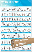 Fitness Bench Poster Adjustable Benches Poster (1PC Paper Tube)