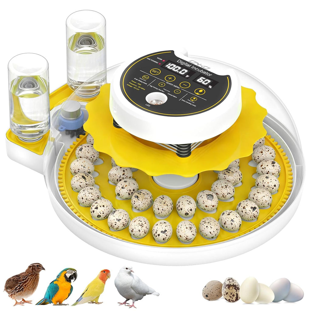 Quail Egg Incubator for Hatching 40 Quail Eggs with Automatic Turner