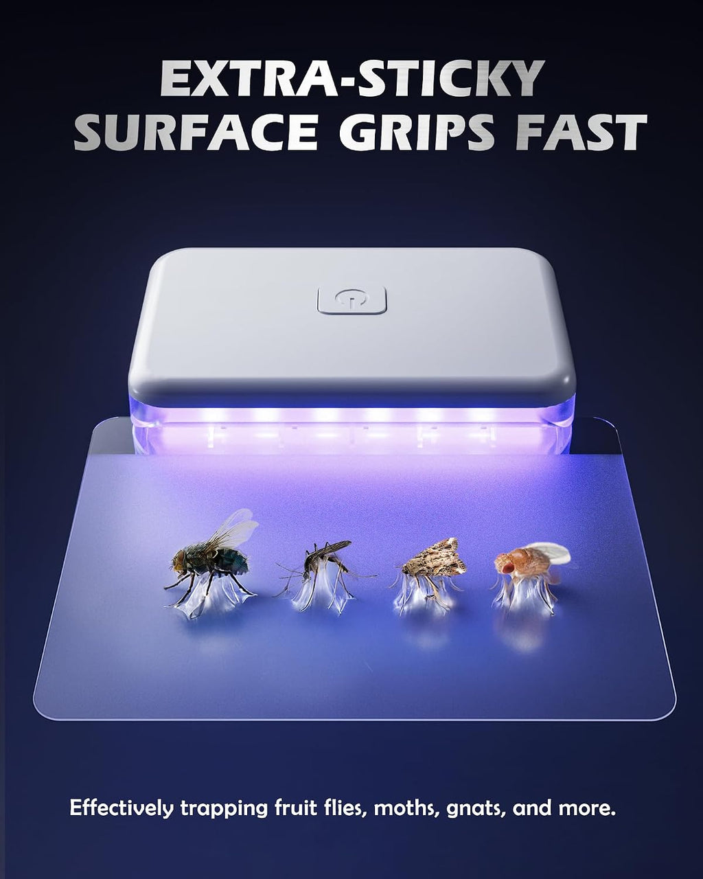 Fruit Fly Traps for House Indoors Gnats, 2 Device+10 Refills | Plug in Fruit Fly Traps for Indoors, Flying Insects