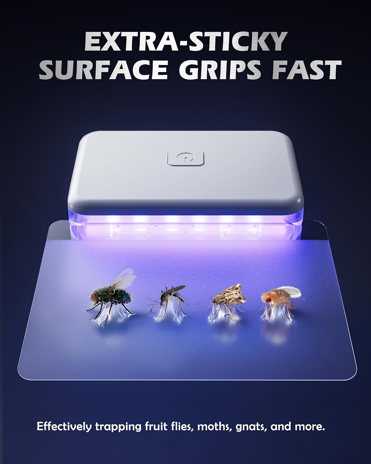 Fruit Fly Traps for House Indoors Gnats, 2 Device+10 Refills | Plug in Fruit Fly Traps for Indoors, Flying Insects
