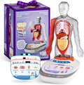 Human Body Model for Kids, Interactive Anatomy Learning Toys | 11" Human Anatomy Model, Knowledge/Quiz Mode, 15pcs