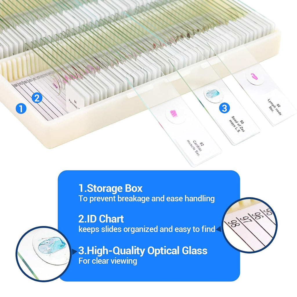 100 Prepared Microscope Slides with Specimens for Kids Adults - Bacterium, Fungus, Human Tissues, Mitosis, Plants