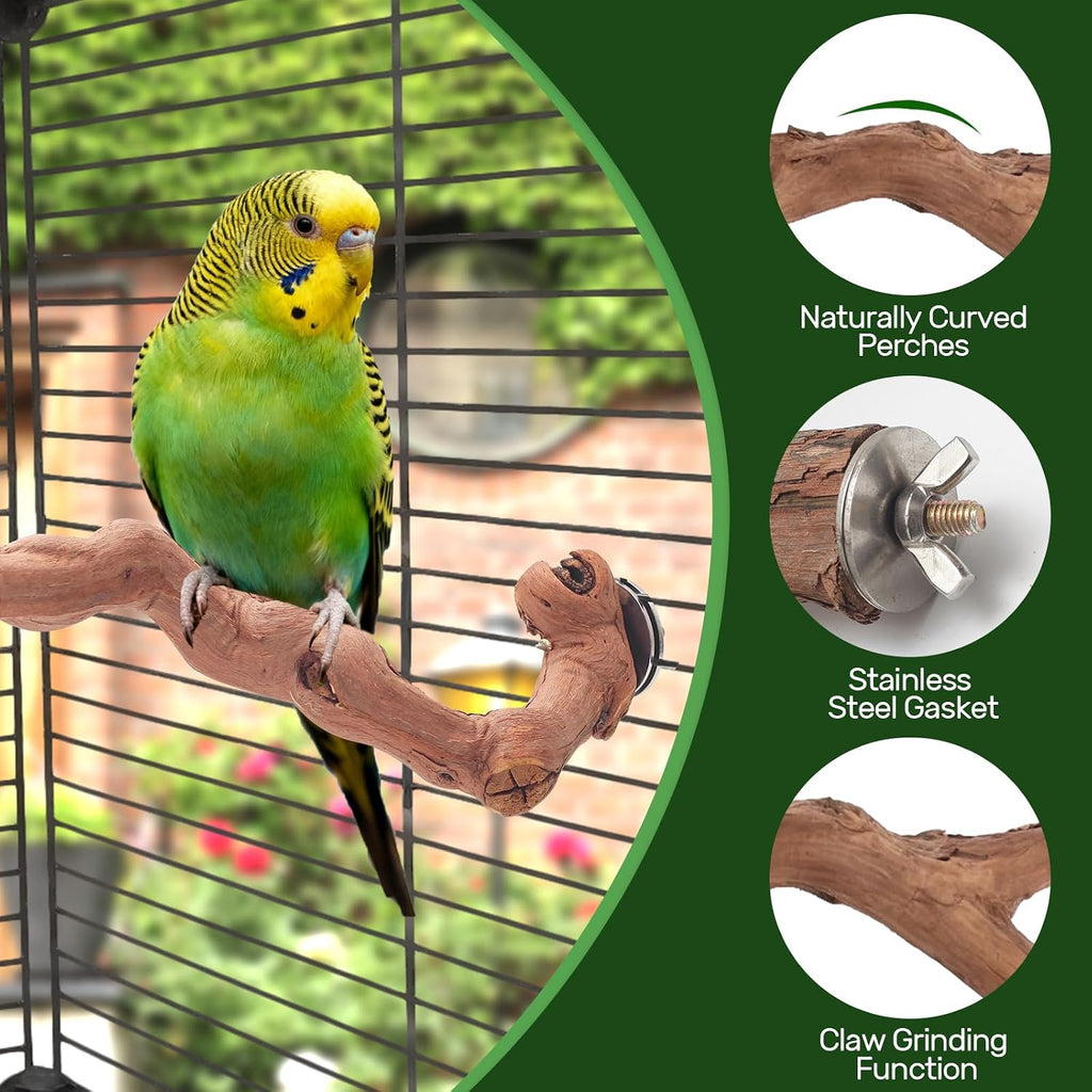 3-Piece Premium Bird Perch Stand with Natural Grape Wood Branch, Paw Grinding Fork, Chewing Stick, Cage Accessories