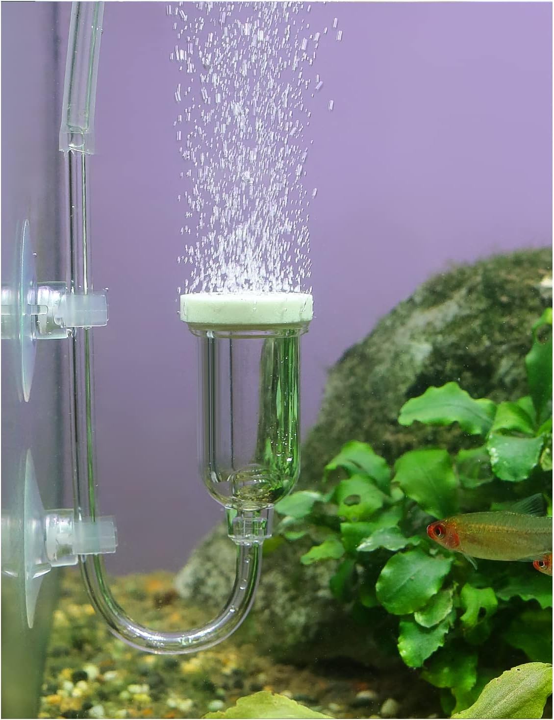 Aquarium Air Stone, Fish Tank Bubble Diffuser High Dissolved Oxygen Airstones for Air Pump Accessoriess with 1 Check