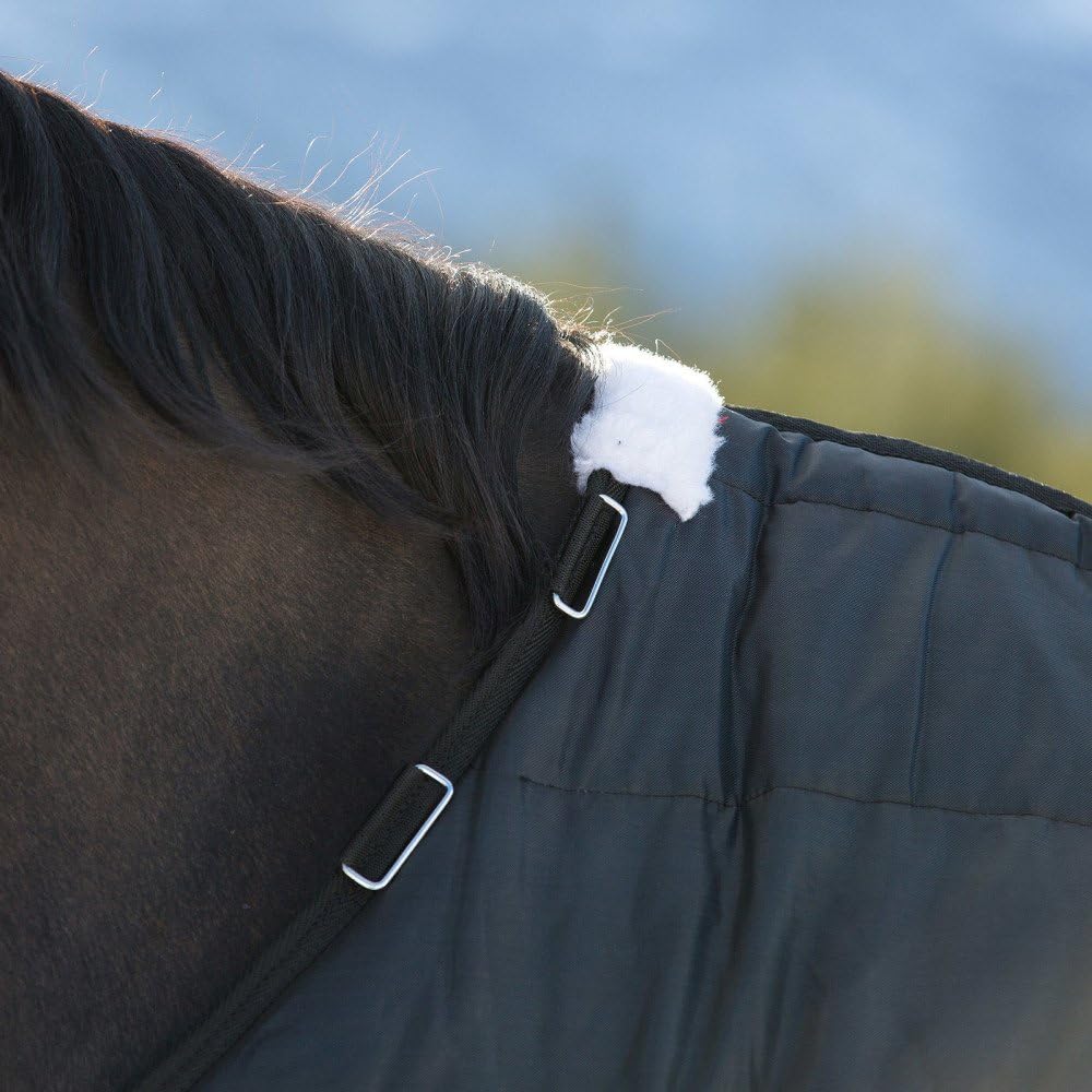 Nevada Light Weight Stable Blanket 100g