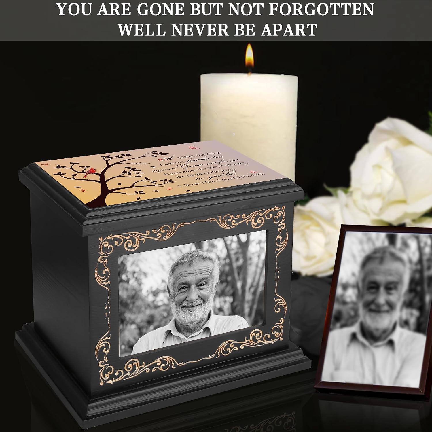 Cremation Urns for Human Ashes Adult Up to 200 IBS with Photo Frame