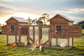 Large Wooden Chicken Coop, 160IN Outdoor Chicken Cages and Run with Nesting Boxes for 2-8 Chickens, Hen Run Poultry