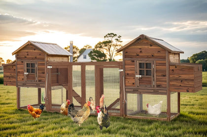 Large Wooden Chicken Coop, 160IN Outdoor Chicken Cages and Run with Nesting Boxes for 2-8 Chickens, Hen Run Poultry