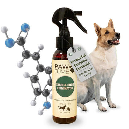 PAWFUME Stain & Pet Urine Odor Eliminator, 1-Pack