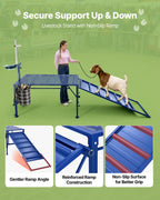 Goat Milking Stand, 600 lbs Heavy Duty Foldable Goat Stand with Ramp, Feed Bin & Wheels, Adjustable Headpiece &
