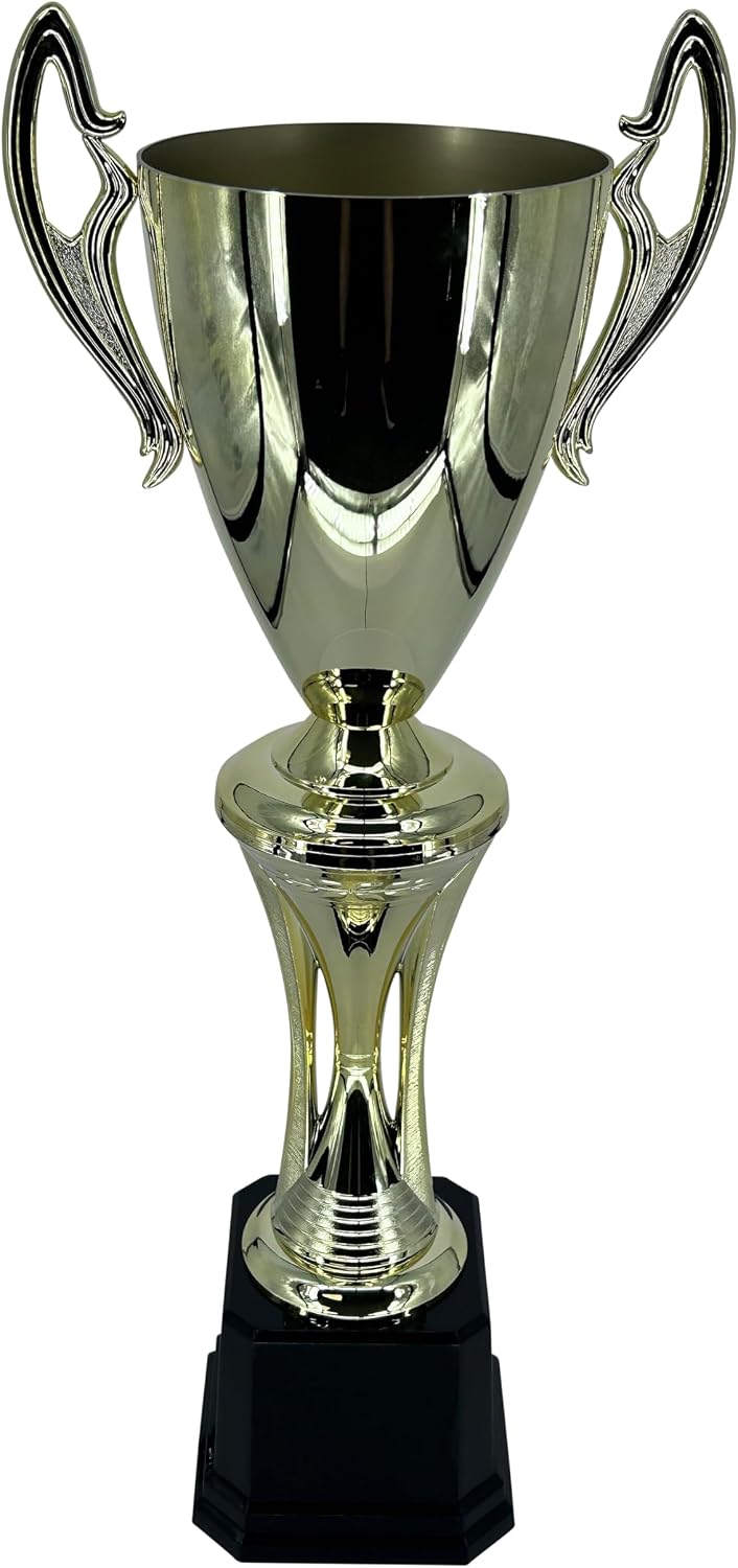 Various Styles of Award Trophy Cups Trophies Prize Gift Champion Winner 1st Place