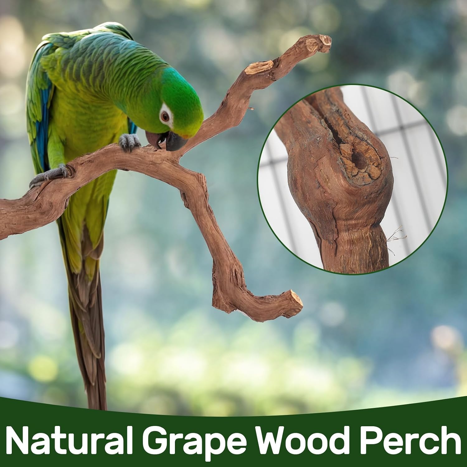 3-Piece Premium Bird Perch Stand with Natural Grape Wood Branch, Paw Grinding Fork, Chewing Stick, Cage Accessories