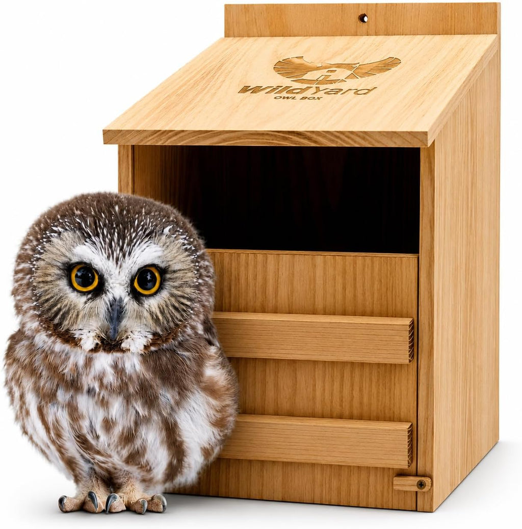 Barn Owl Nesting Box - Large, Cedar, Preassembled, Easy-Hang