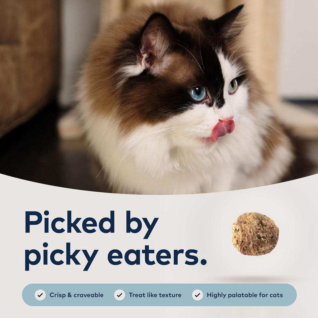Peak Steam & Dried Cat Food, Chicken with Mackerel, 90% Meat, 1.8 lb