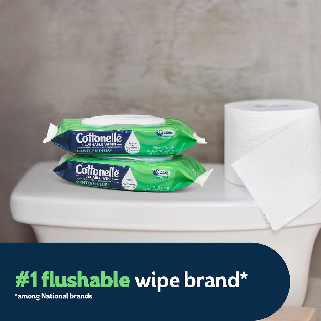 GentlePlus Flushable Wet Wipes with Aloe & Vitamin E, 4 Flip-Top Packs, 42 Wipes Per Pack (168 Total Wipes)