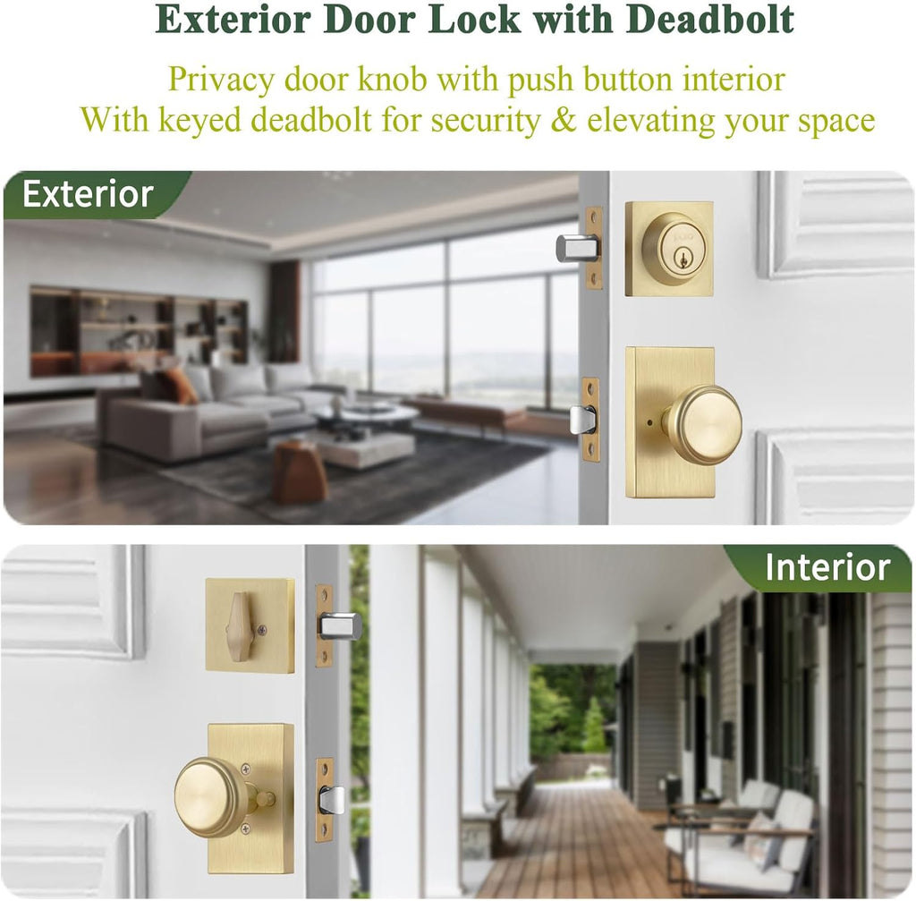 Brushed Gold Door Knobs with Deadbolt for Front Door & Living Room | Zinc Rosette, Easy Install, Outdoor & Indoor Use