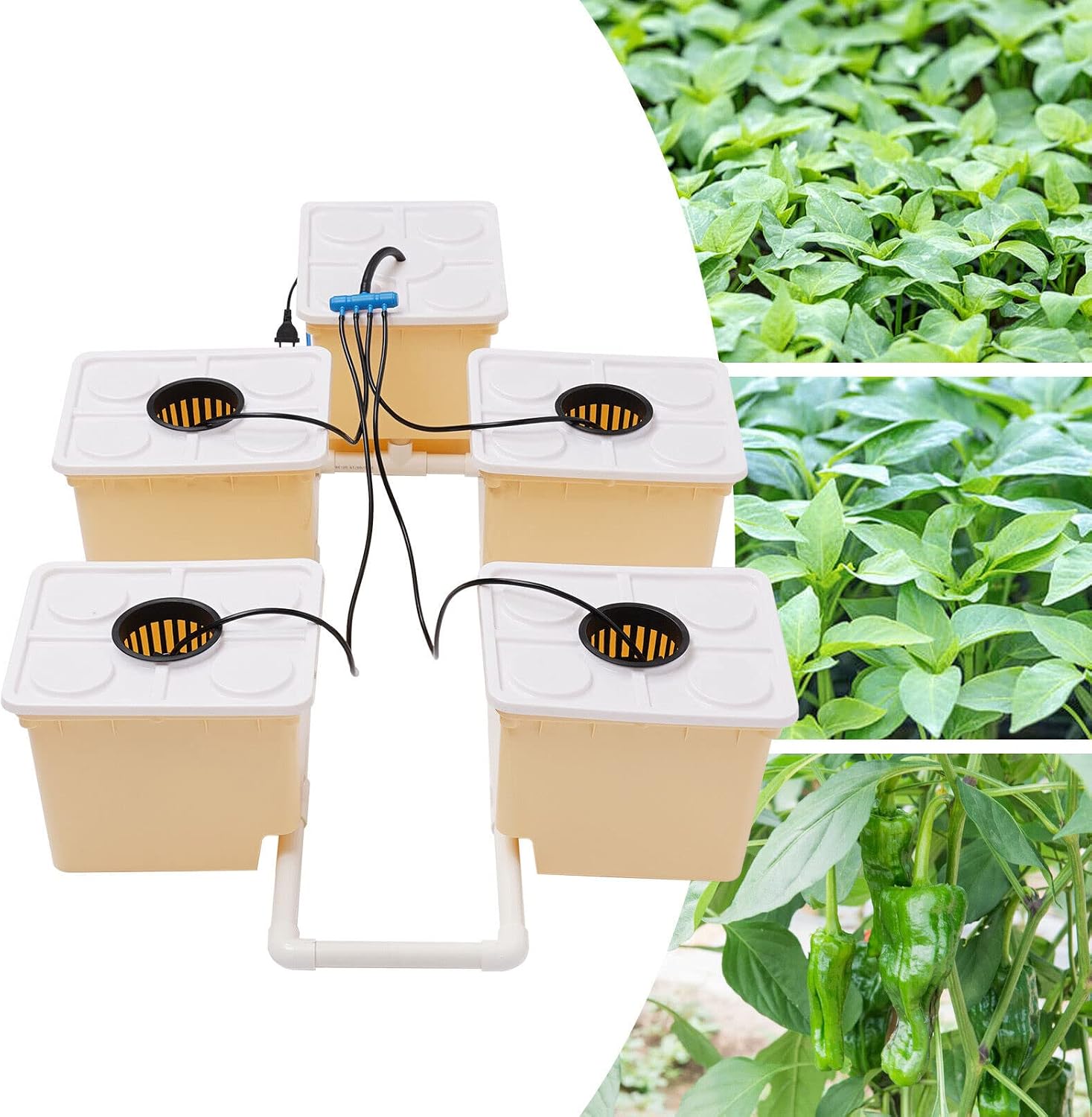 DWC Hydroponics Grow System, 2.91 Gallon 5 Buckets Deep Water Culture DWC Hydroponic Grow System Kit with 4W Pump