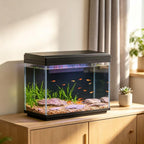 5 Gallon Fish Tank with Filter and Light