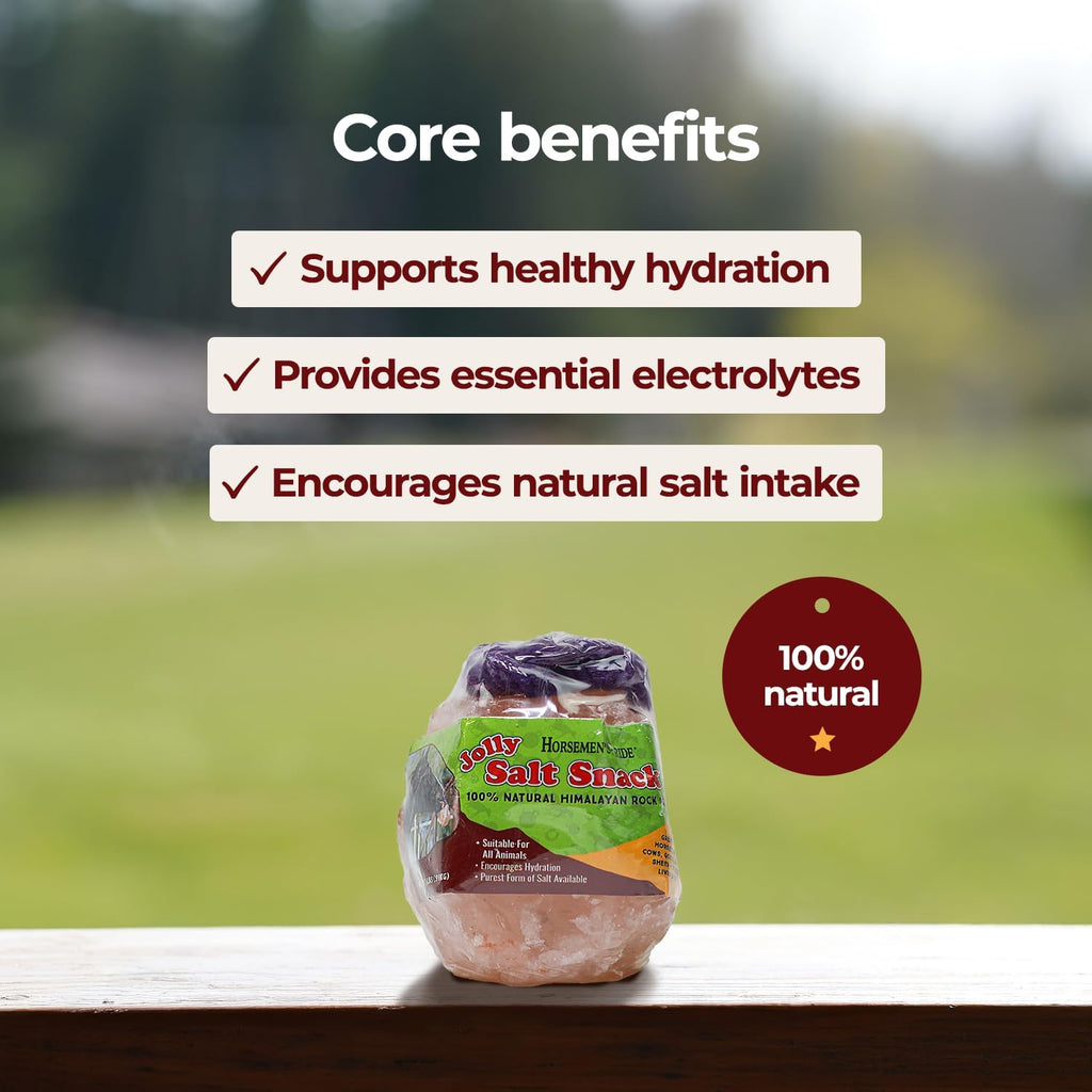 Himalayan Salt Block on Rope for Horses, 2.2 Pounds, SS22