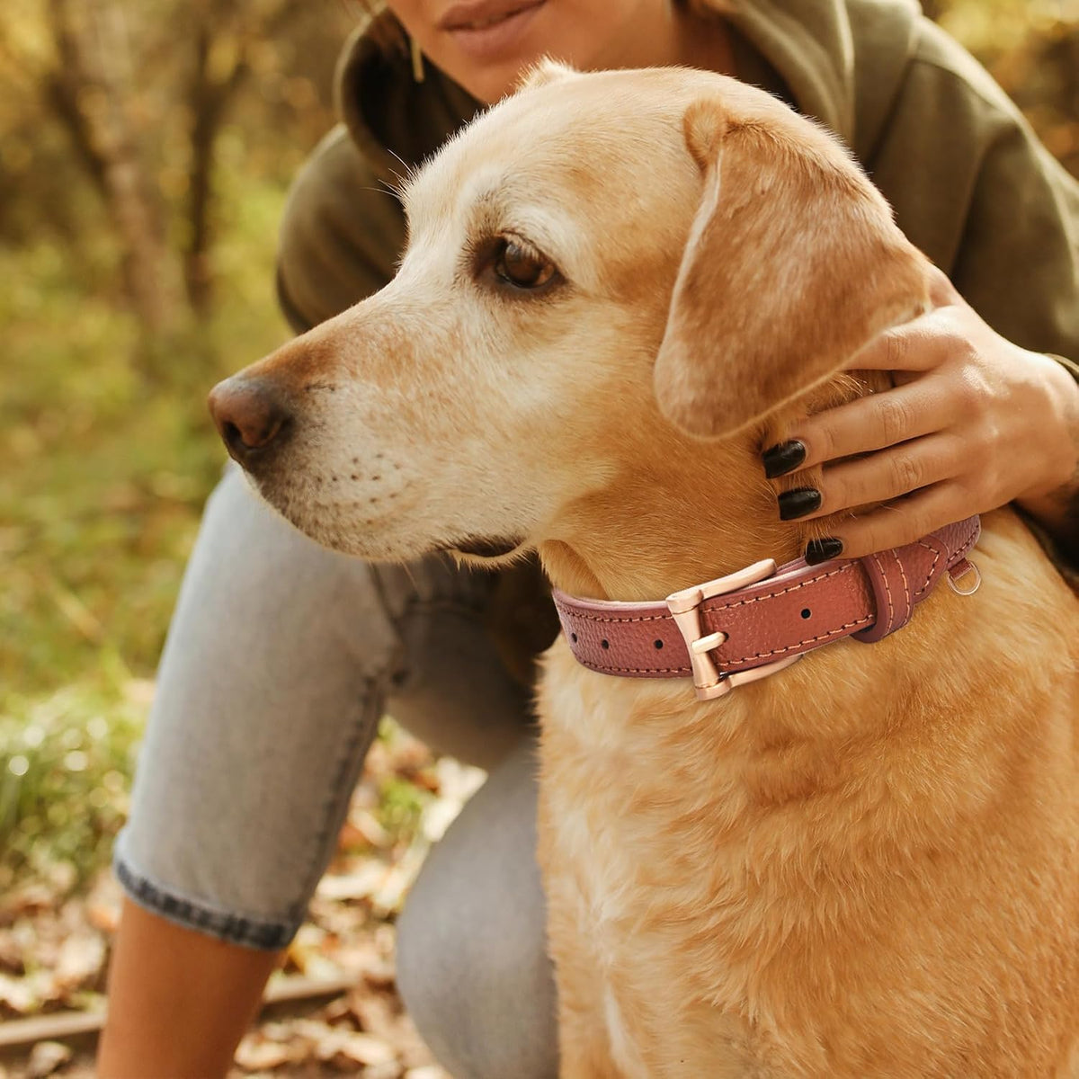 Leather Dog Collars, Soft Padded, for Small Medium Large Dogs