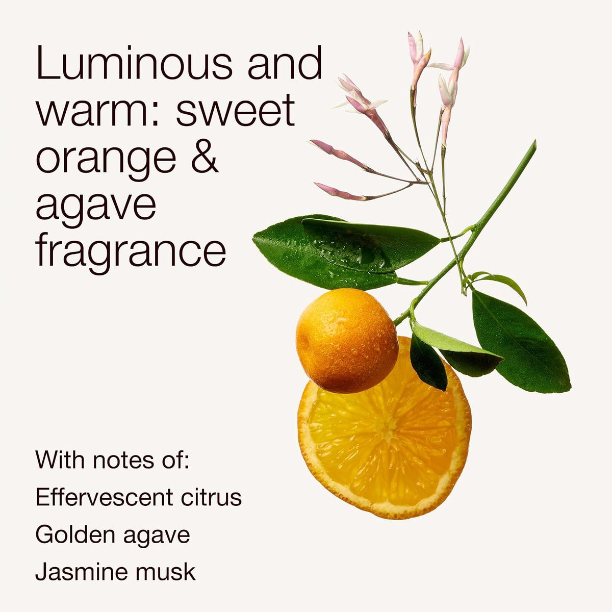 Gentle & Clean Hand Soap, Sweet Orange & Agave, 2 Pack