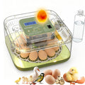 Incubator for Hatching Egg, 12 Egg Incubators with Temperature and Humidity Control, Automatic Turner, Candler, 360°