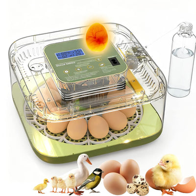 Incubator for Hatching Egg, 12 Egg Incubators with Temperature and Humidity Control, Automatic Turner, Candler, 360°