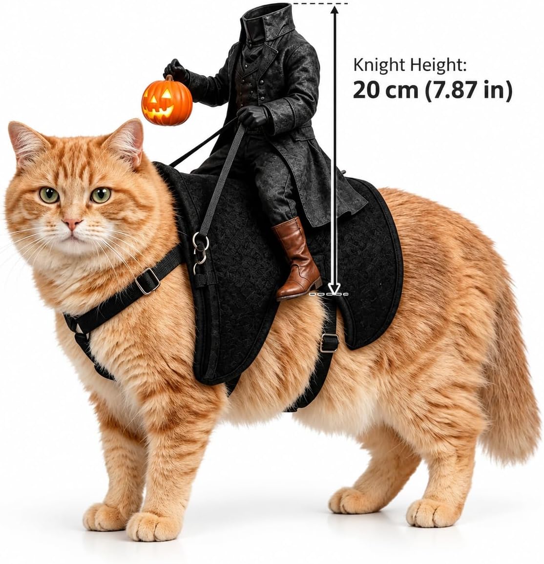 Headless Horseman Cat Costume LED Riding Illusion Halloween Pet