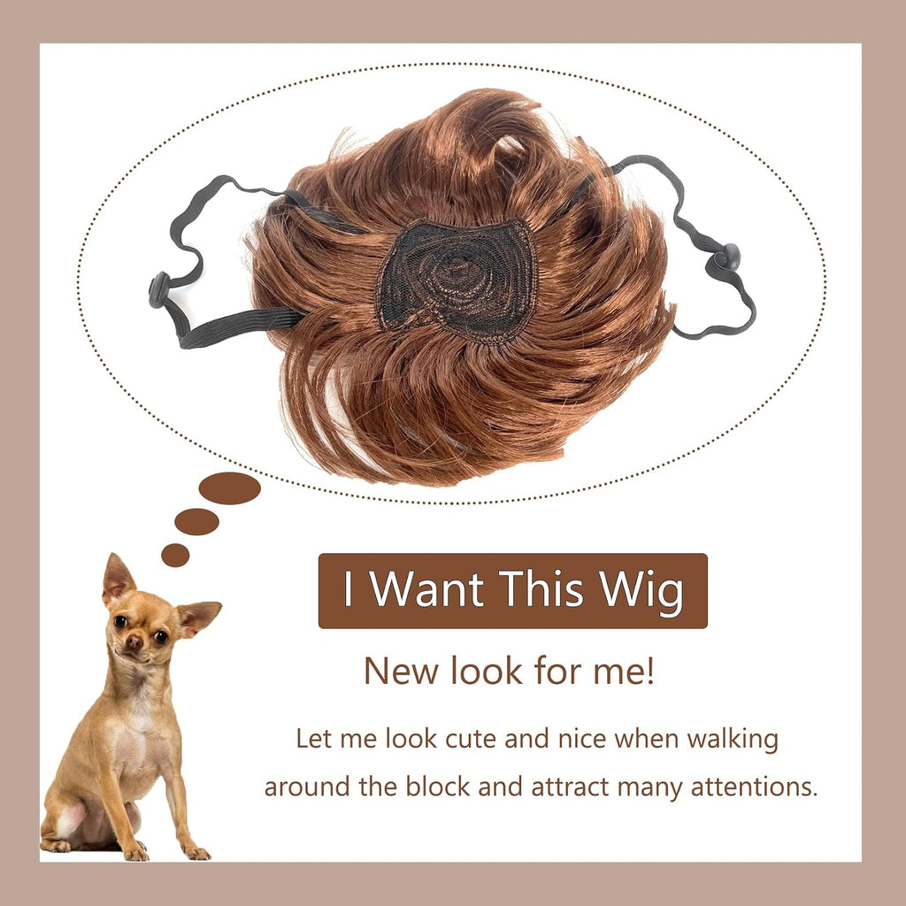 Dog Wig Pet Costumes, Cat Costume Synthetic Accessories Small Dog Headwear for Halloween Christmas Eve Festival Party