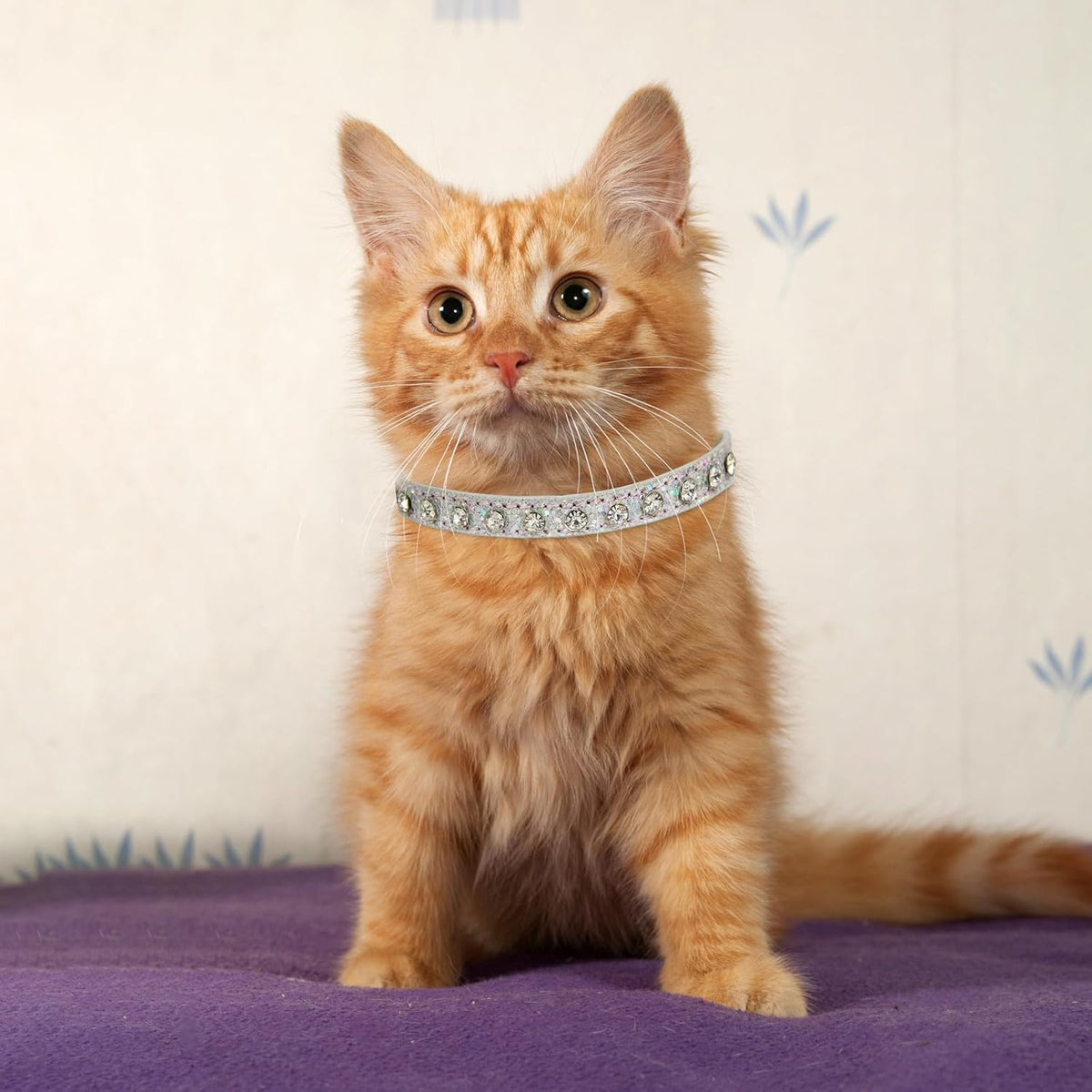Pet Bling Accessories Cat and Dog Rhinestone Collar PU Leather Adjustable Collar (Small, Silver)