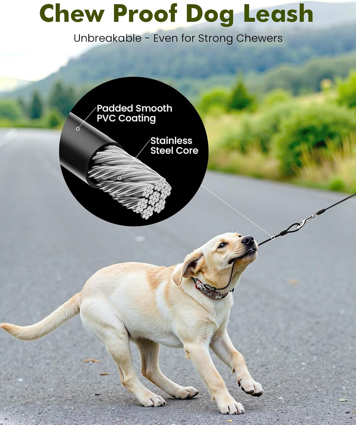 16.4ft Retractable Dog Leash with 1.6ft Chew Proof Steel Cable