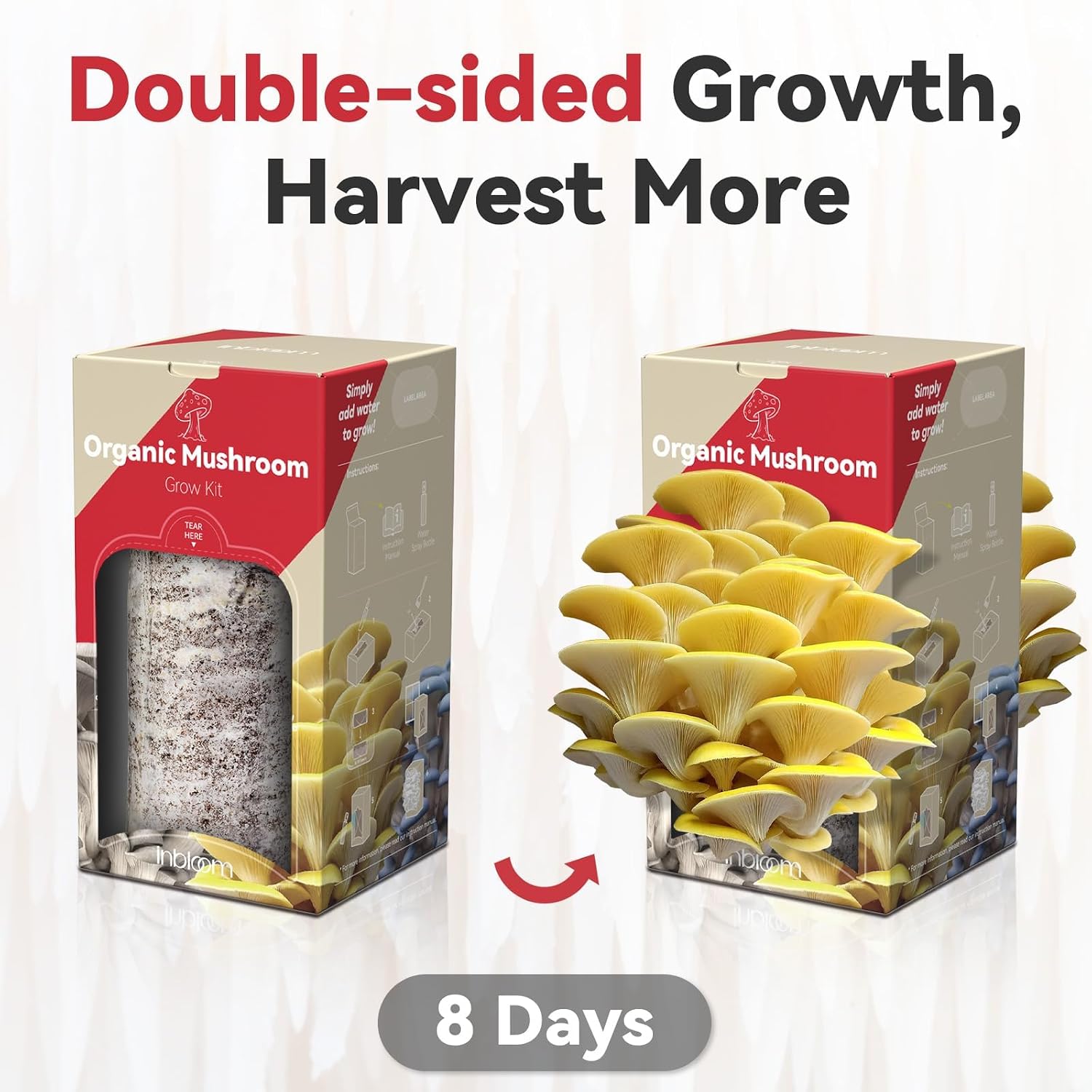 Large Organic Oyster Mushroom Growing Kit(4 lbs)