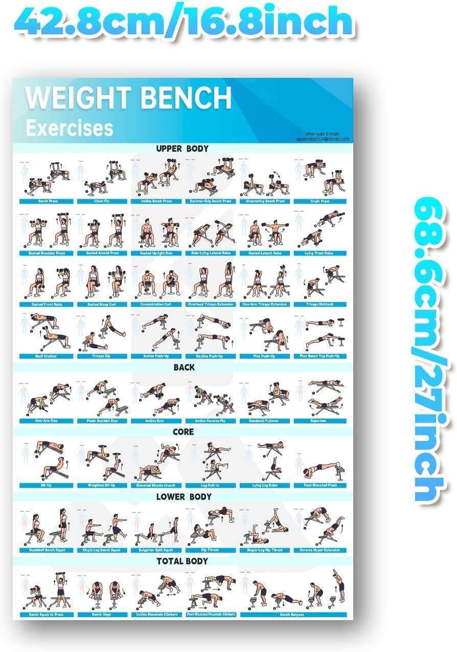 Fitness Bench Poster Adjustable Benches Poster (1PC Paper Tube)