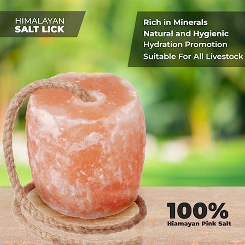 ZK Himalayan Salt Lick for Horses, Livestock– (3-4 lbs) (Pack of 3 Natural Mineral Salt Block for Goats, Cattle &