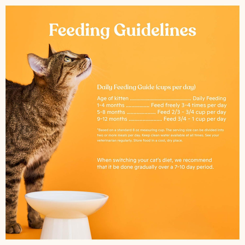 Kitten Dry Kibble Infused with Bone Broth, Healthy High Protein Cat Food, Cage-Free Chicken and Chicken Liver, 2lb Bag