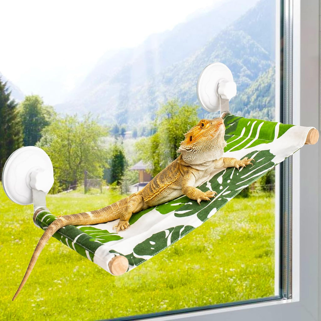 Bearded Dragon Hammock for Window Reptile Sleeping Bed