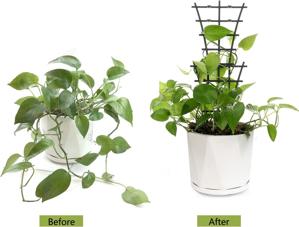 Plant Trellis Indoor, 6Pcs Stackable Plant Trellis for Climbing Plants Indoor, Small Plant Climbing Trellis for