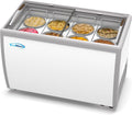 49 inch Commercial Ice Cream Dipping Cabinet Display Case, 8 Large Displayed Tubs, 6 Storing Tube, Sliding Glass