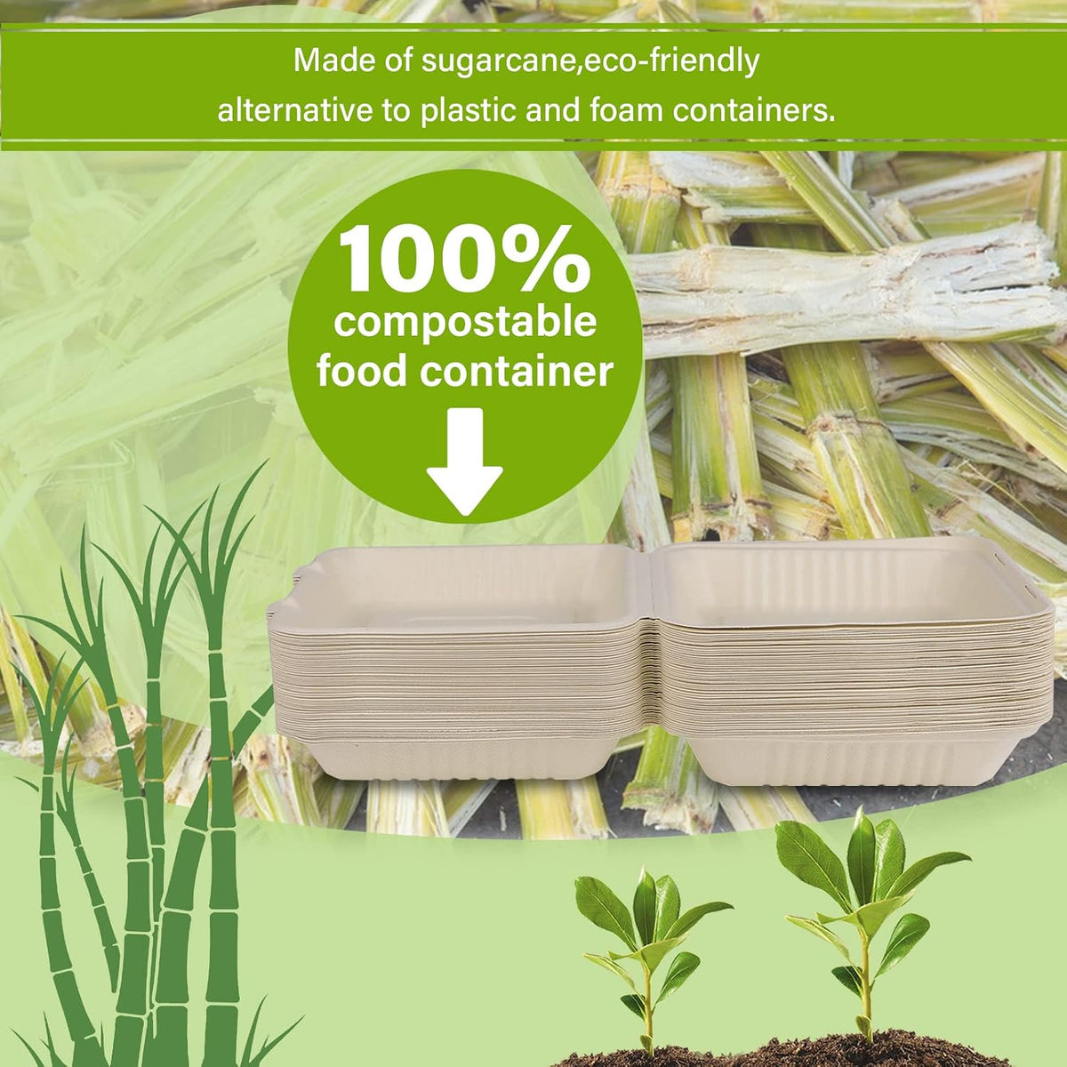 9X9 Compostable Clamshell Take Out Food Container 100 Pack