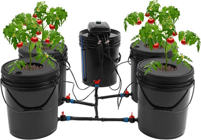 Hydroponic Growing System Kit - 4 Bucket Deep Water Culture DWC Setup with Air Pump - Soil-Free Indoor Gardening for