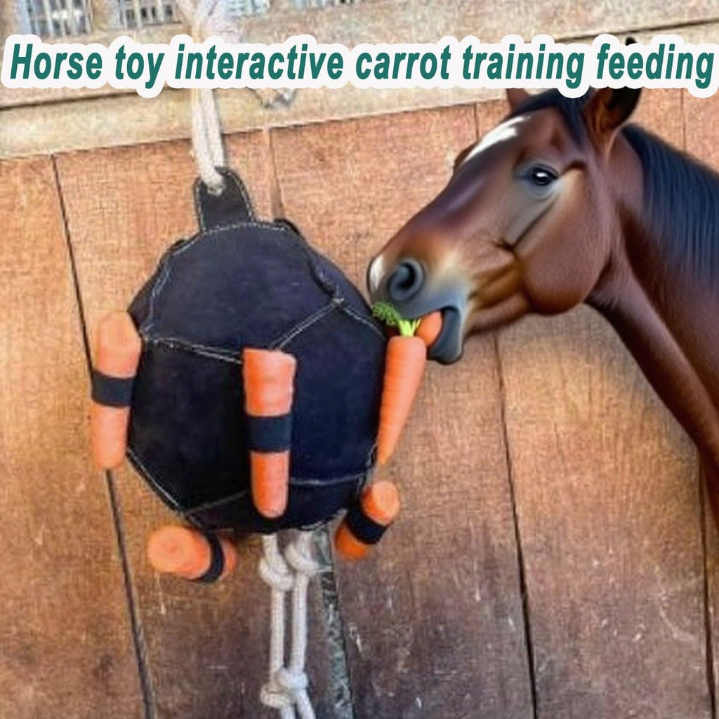 Horse Treat Ball, Horse Enrichment Toys, Carrot Training Feeding Ball, Relieve Stress(Black)